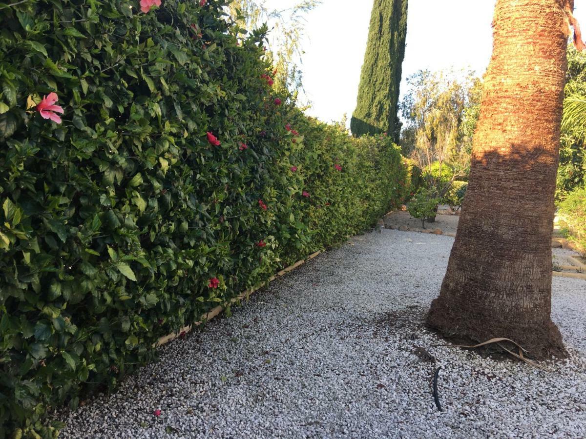 Villa Anthiana Mercan Koyu Dış mekan fotoğraf