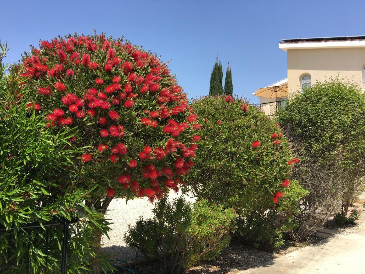 Villa Anthiana Mercan Koyu Dış mekan fotoğraf