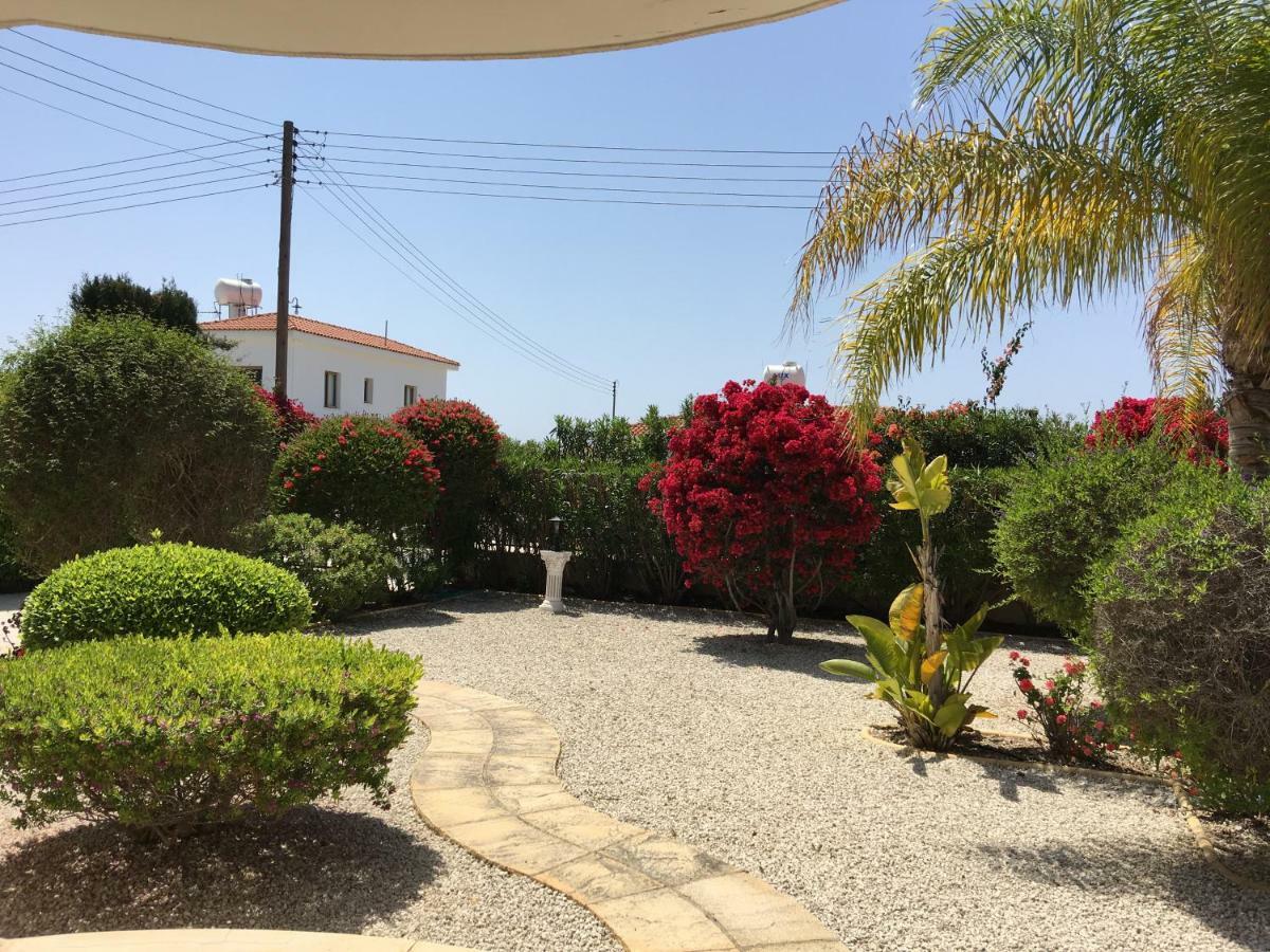 Villa Anthiana Mercan Koyu Dış mekan fotoğraf